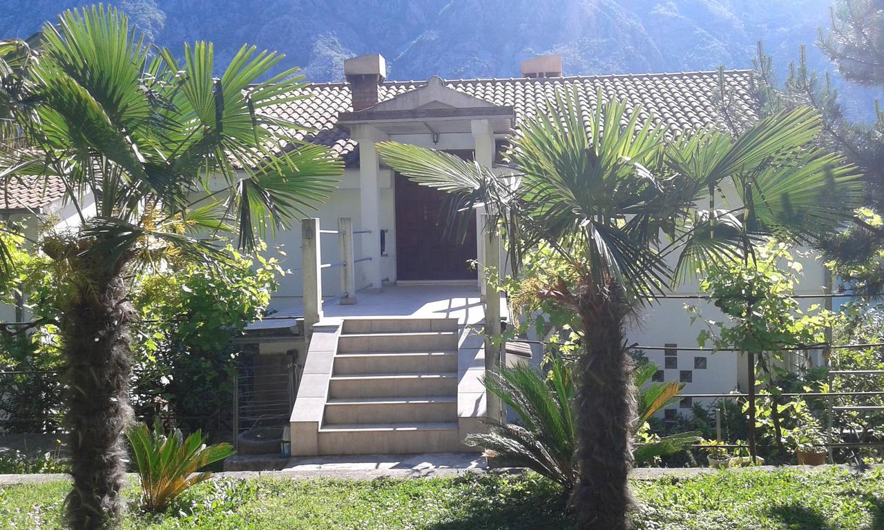 Apartment Sasha Kotor Eksteriør bilde